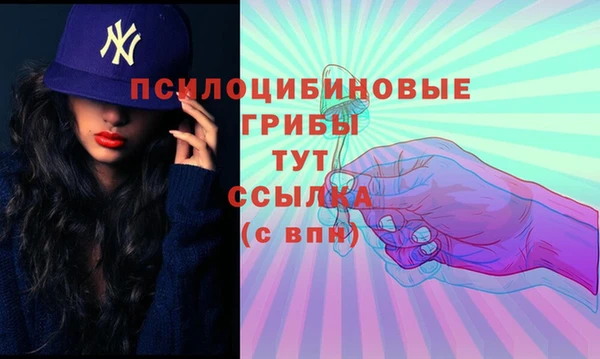 прущая мука Арсеньев