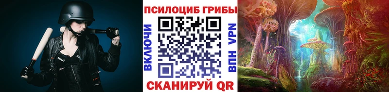 Купить Слюдянка Псилоцибиновые грибы Psilocybine cubensis